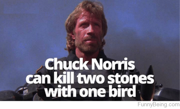 chuck norris meme